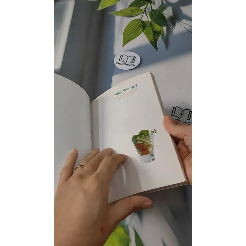 Salad Thon Người - Salad & Những Thực Phẩm Ăn Không Sợ Mập - Vũ Mai Ly & Nguyễn Xuân Quy 727252