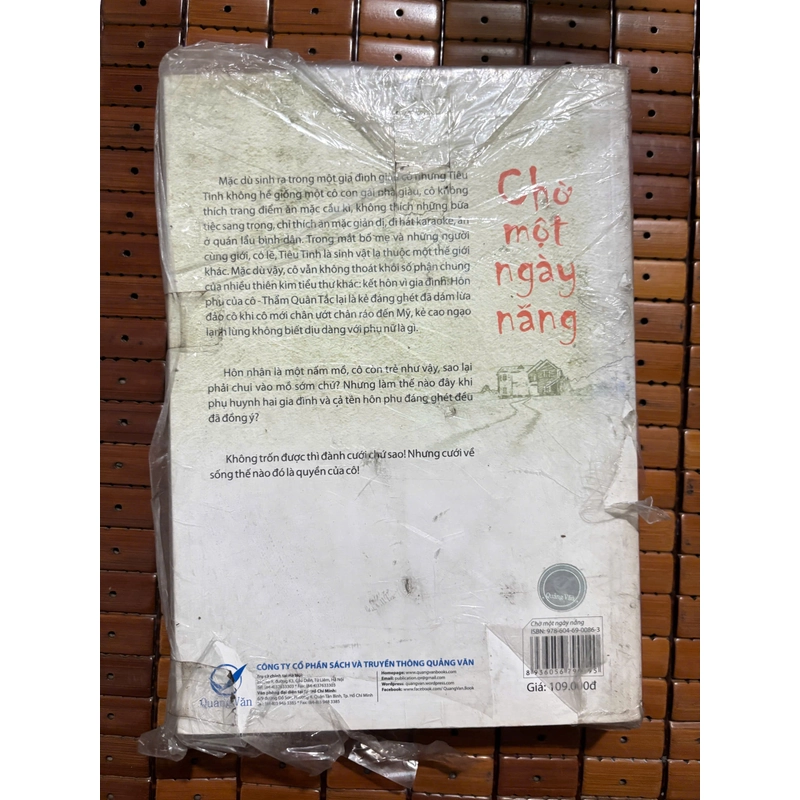 Chờ Một Ngày Nắng - Diệp Chi Linh 551628
