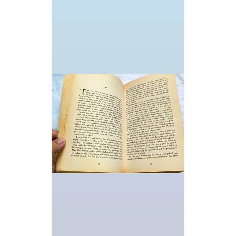 Daphne Du Maurier - The house in the strand  732662