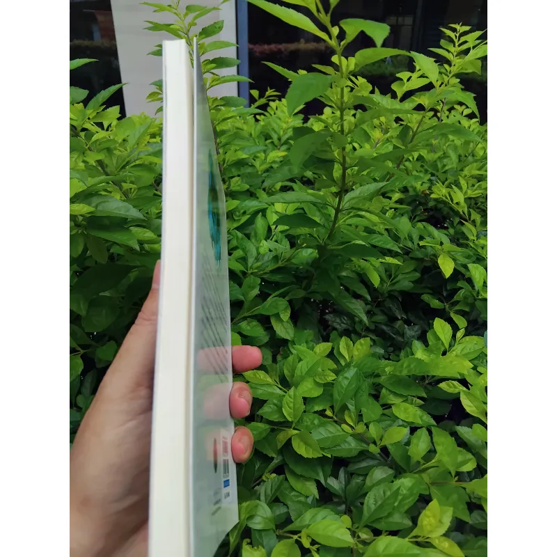 Những hình bóng cũ tập truyện ngắn của Ngọc Giao  989992