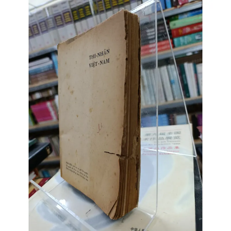 THI NHÂN VIỆT NAM 597987