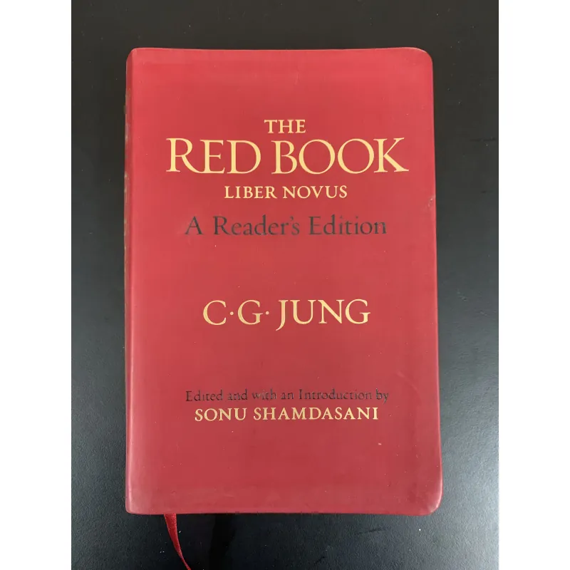 (Sách cũ) The Red Book - Liber Novus - A Reader's Edition - C.G. Jung  958174