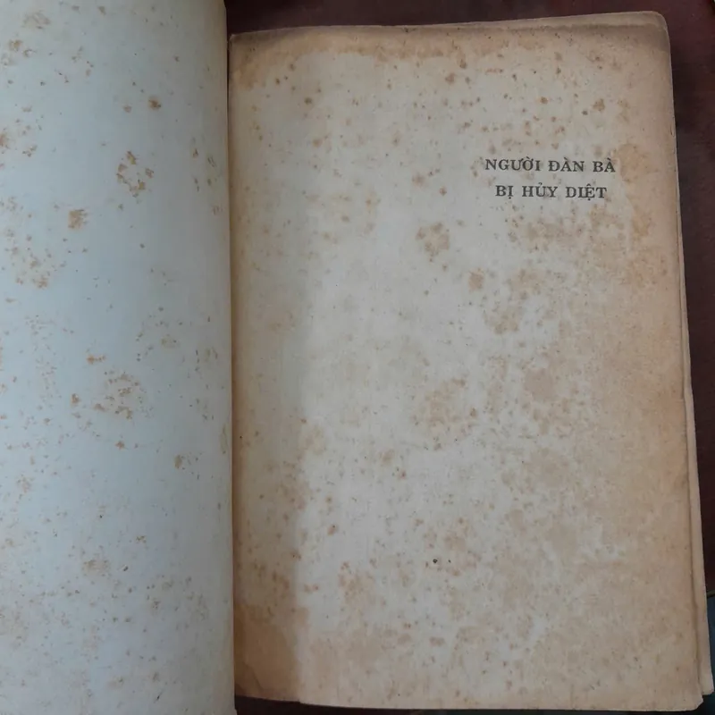 NGƯỜI ĐÀN BÀ BỊ HỦY DIỆT - SIMONE DE BEAUVOIR ( TRẦN THANH TÂM, HUY ANH, VIỆT DŨNG DỊCH) 1063978