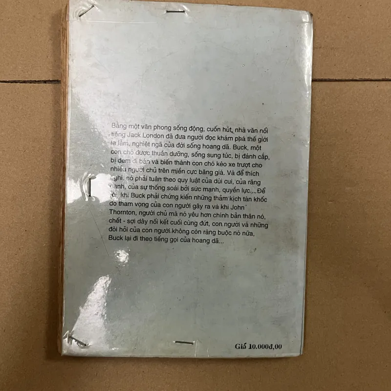 Tiếng gọi nơi hoang dã 569188