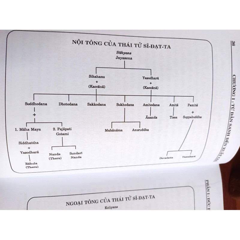 Đức Phật và Phật Pháp 194957