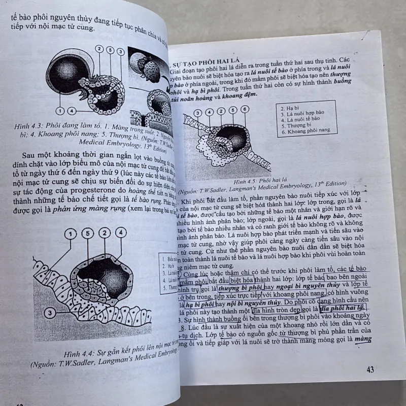 Giáo trình nội thần kinh/ phôi thai học (2 cuốn) 800655