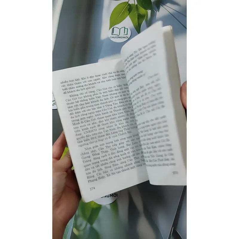 Cơ Sở Văn Hóa Việt Nam 928591