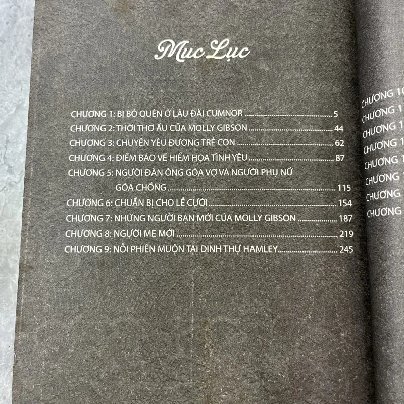 VỢ VÀ CON GÁI - NGÔ MINH NGỌC 336616