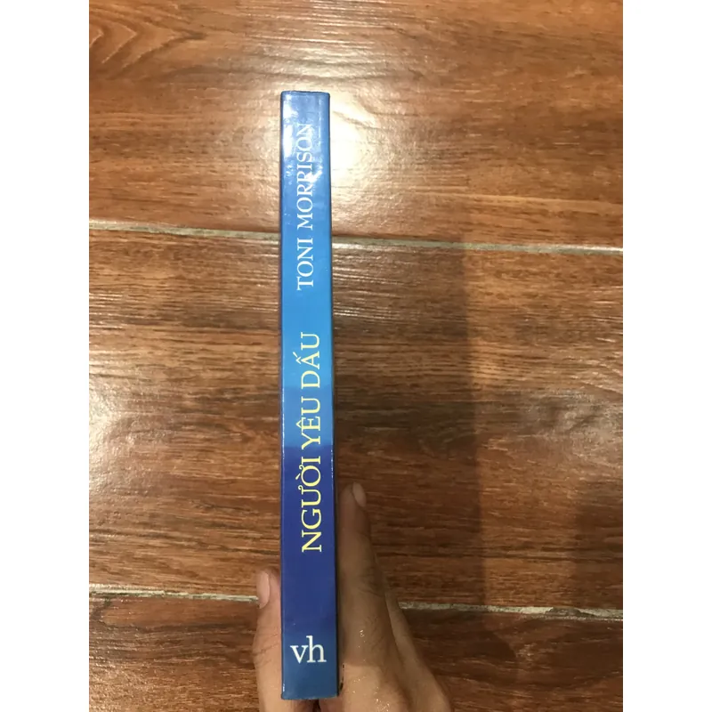 Người yêu dấu (8) 323047