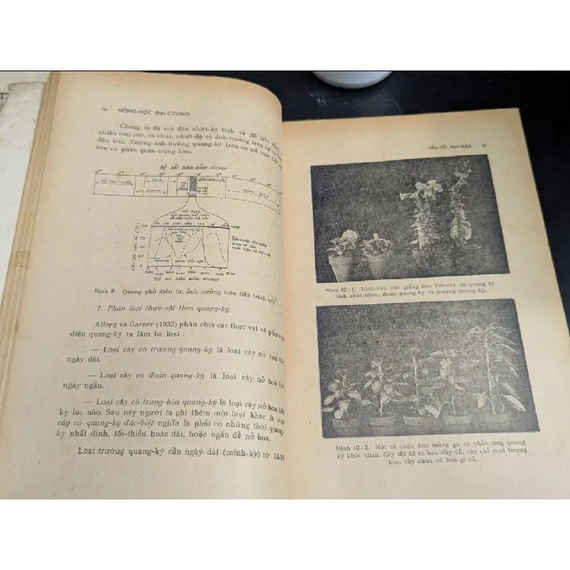 Nông học đại cương - Tôn Thất Trình 121943