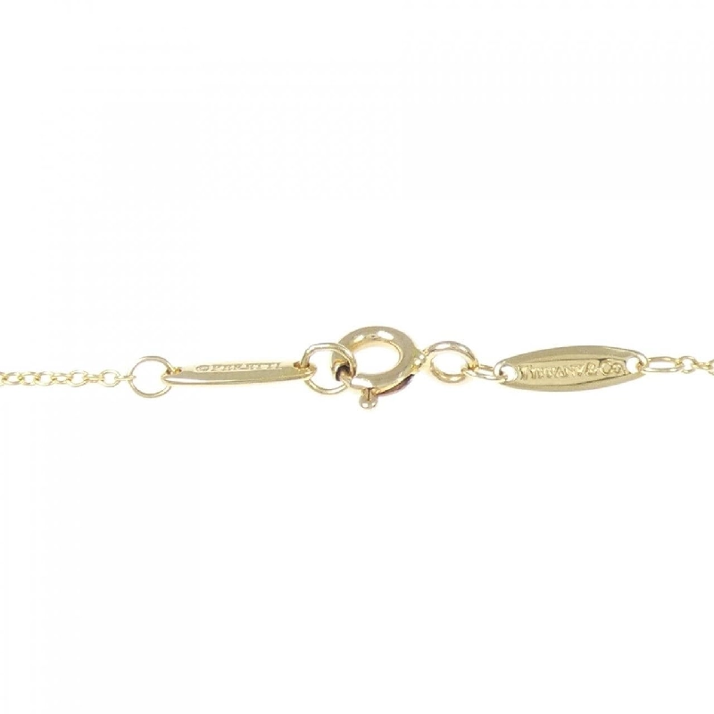 Dây chuyền Tiffany By The Yard - Hàng hiệu Authentic 845852