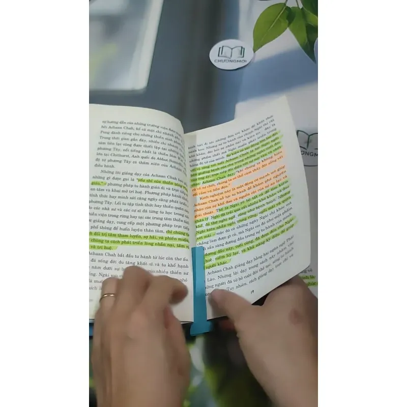 Tâm Tĩnh Lặng - Achaan Chah 727369