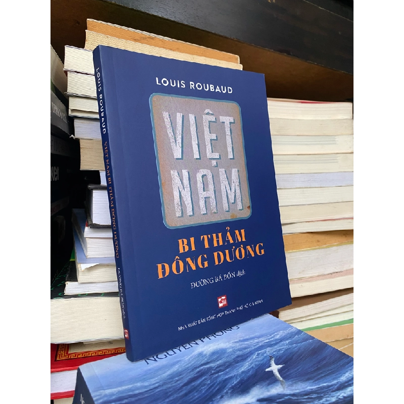 Việt Nam bi thảm Đông Dương - Louis Rouband 365896
