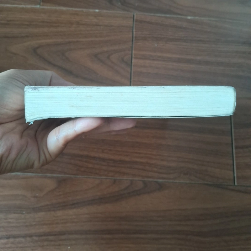 Bình hoa - khốn ỷ nguy lâu 508561