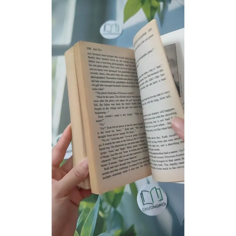 [MIỄN PHÍ BỌC SÁCH] The Bonesetter's Daughter - Amy Tan 1027210