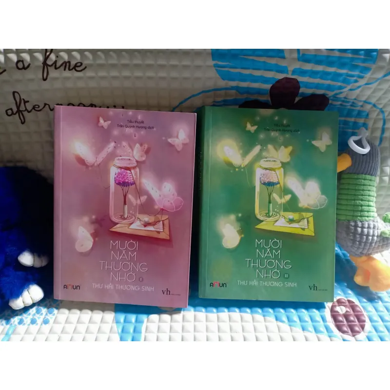 MƯỜI NĂM THƯƠNG NHỚ - THƯ HẢI THƯƠNG SINH 1000499