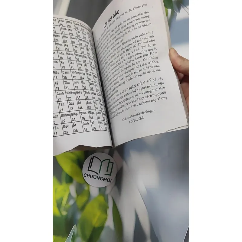 Bách Thiên Diễn Số - Dương Thuận Hào 776136