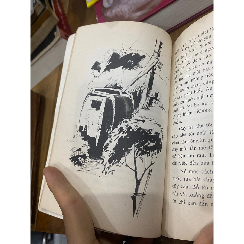 Cây gạo làng tôi - Trinh Đường 546819