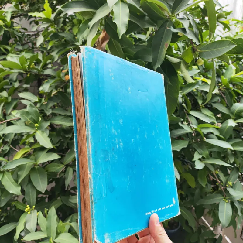 Dưới Lá Cờ Vẻ Vang Của Đảng 706340