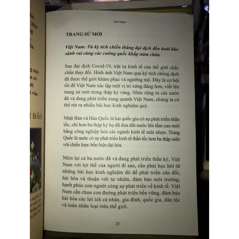 Thập kỷ vàng trang sử mới - Lê Viết Hải 763057