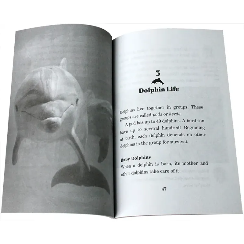 Magic treehouse Fact tracker  - 44 quyển 745161