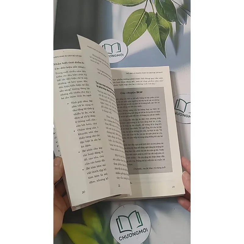 Phương pháp ăn dặm bé chỉ huy 688485