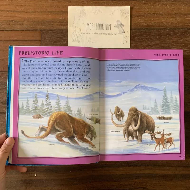 Sách ngoại văn Over 1000 Fantastic Animal Facts, Used, Bìa mềm, Siêu dày 578057