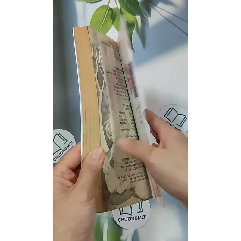 Giọt nắng trong tim 688669