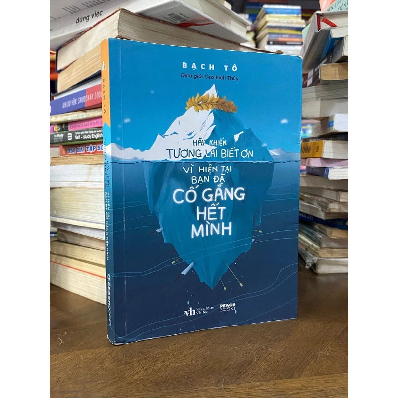 Hãy Khiến Tương Lai Biết Ơn Vì Hiện tại Bạn Đã Cố Gắng Hết Mình 233663
