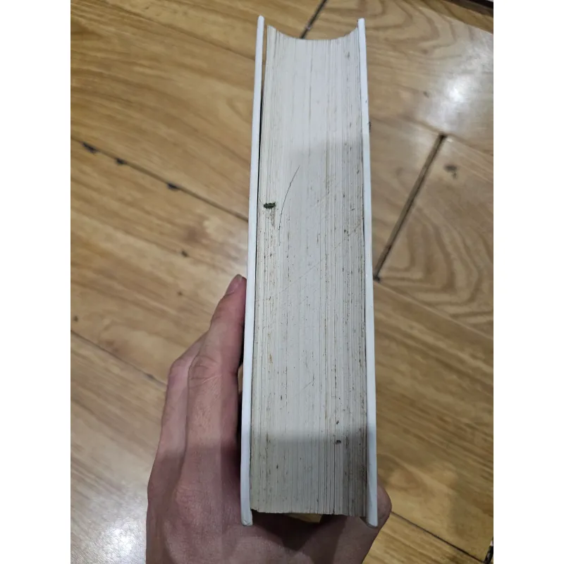 Cuốn theo chiều gió 2 (bìa cứng)
 777049