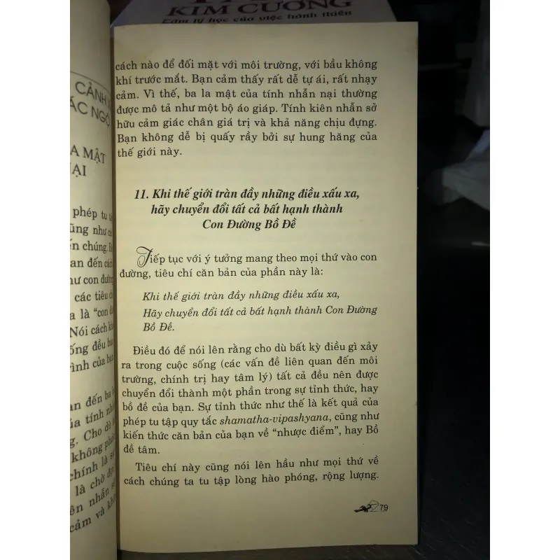 Rèn luyện tâm trí và vun bồi từ tâm - Chogyam Trungpa 781575