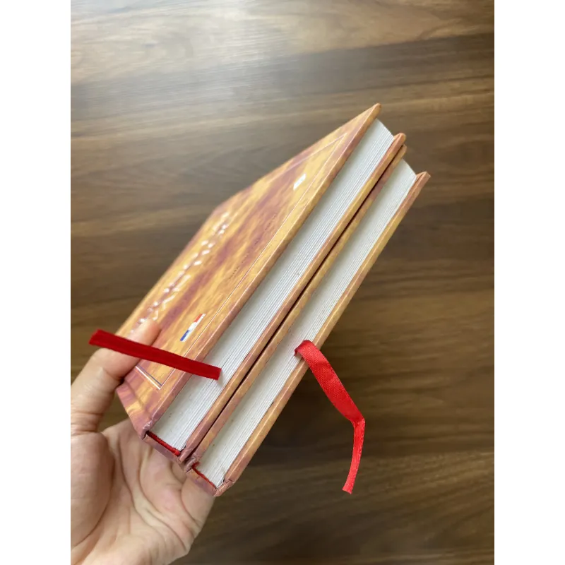 Tương lai văn học - Frédéric Badré  972030