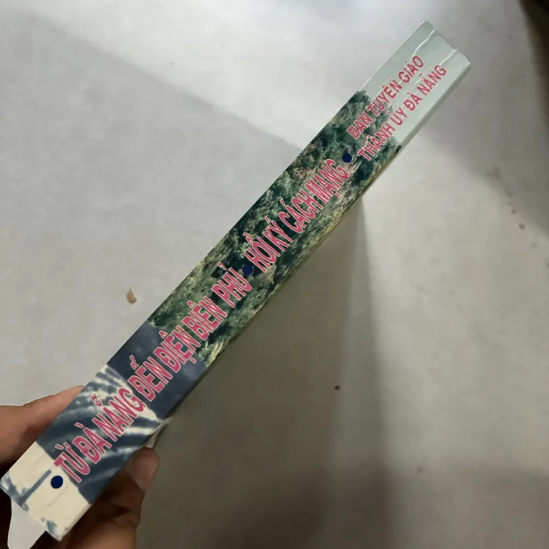 Từ Đà Nẵng đến Điện Biên Phủ 1007138