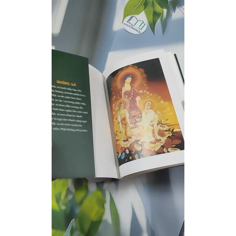 Việc Lớn Nhất Đời Người - Cư Sĩ Diệu Âm Diệu Ngộ 776134