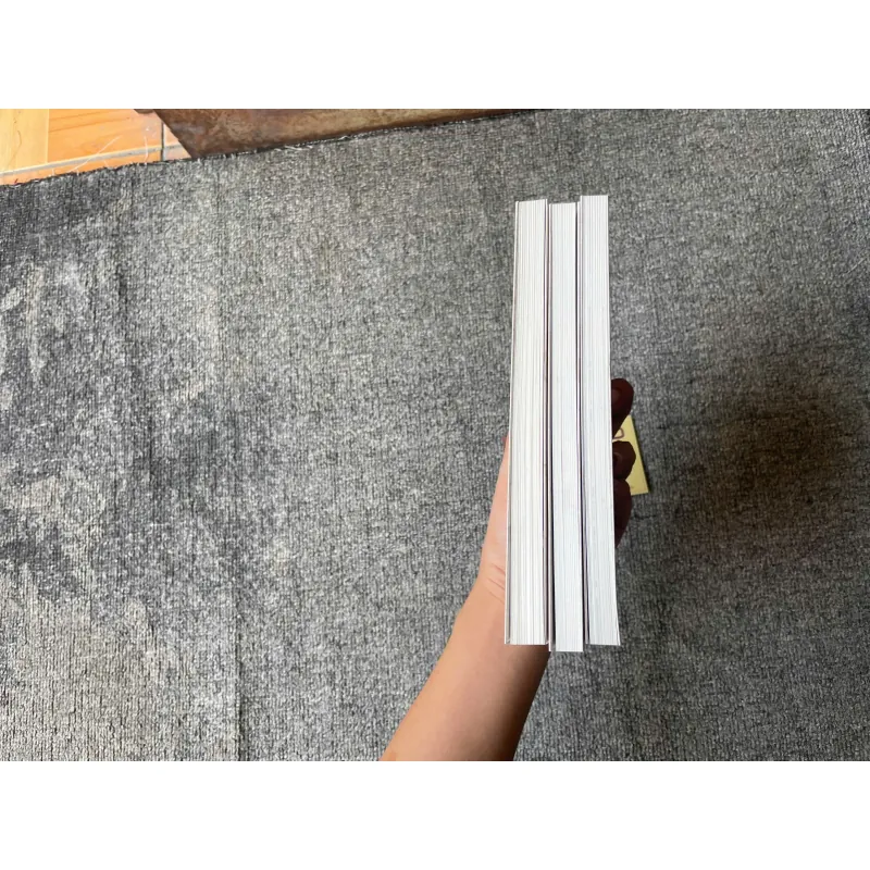 Truyện Cuốn Từ Điển Kì Bí (Bộ 3 Tập) - NXB Kim Đồng 976921