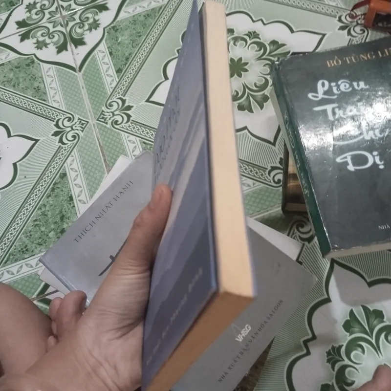 Đạo Phật đi vào cuộc đời Thích Nhất Hạnh  561507