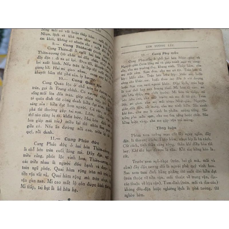 Xem tướng lấy - Tú Can 129908