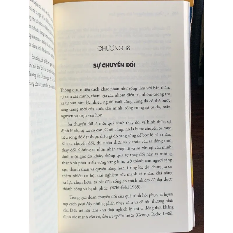 Chữa lành đứa trẻ bên trong bạn – Charles Whitfield 561479