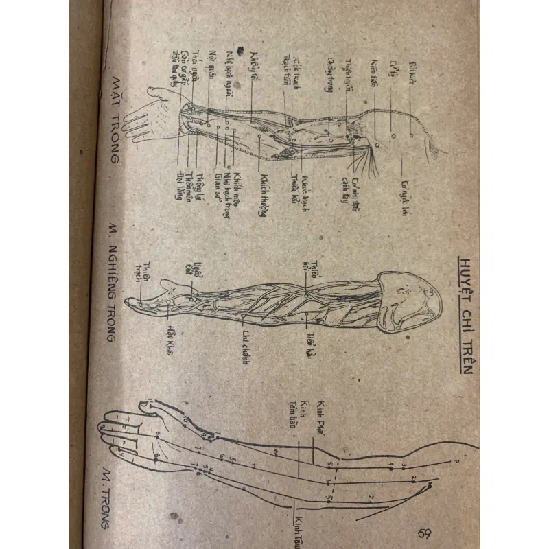 TÔI HỌC KHOA CHÂM CỨU - NGUYỄN VĂN SẮNG 1001245