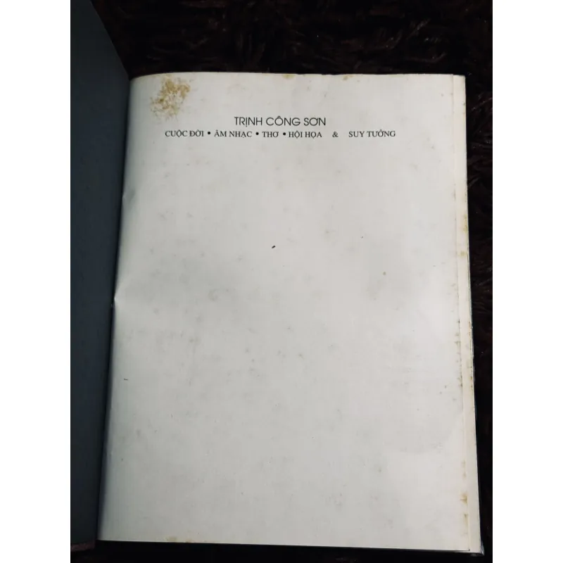 Sách Trịnh Công Sơn (bìa cứng) 1020891