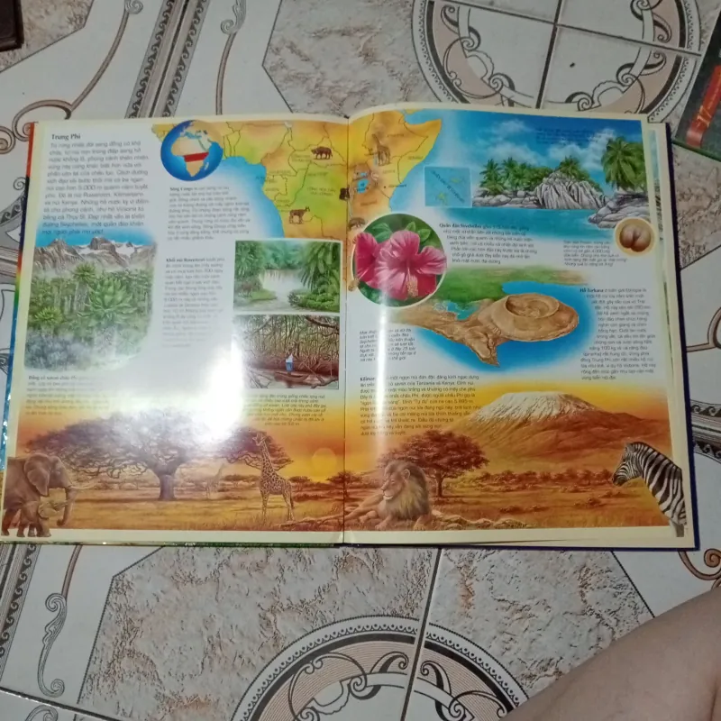 Atlas tự nhiên  996243