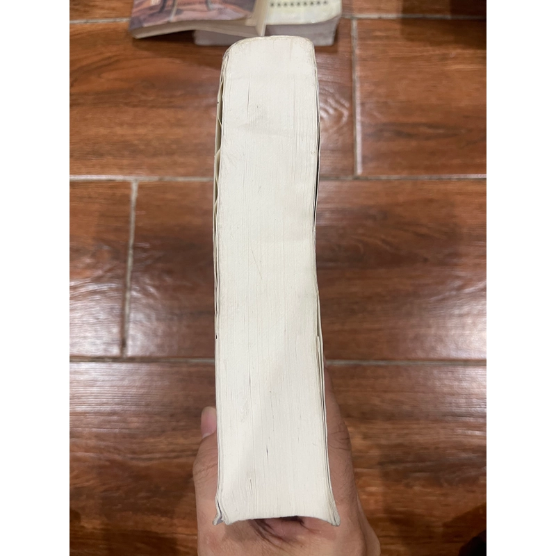 Văn hóa và lịch sử các dân tộc trong nhóm ngôn ngữ Thái Việt Nam (6) 538887
