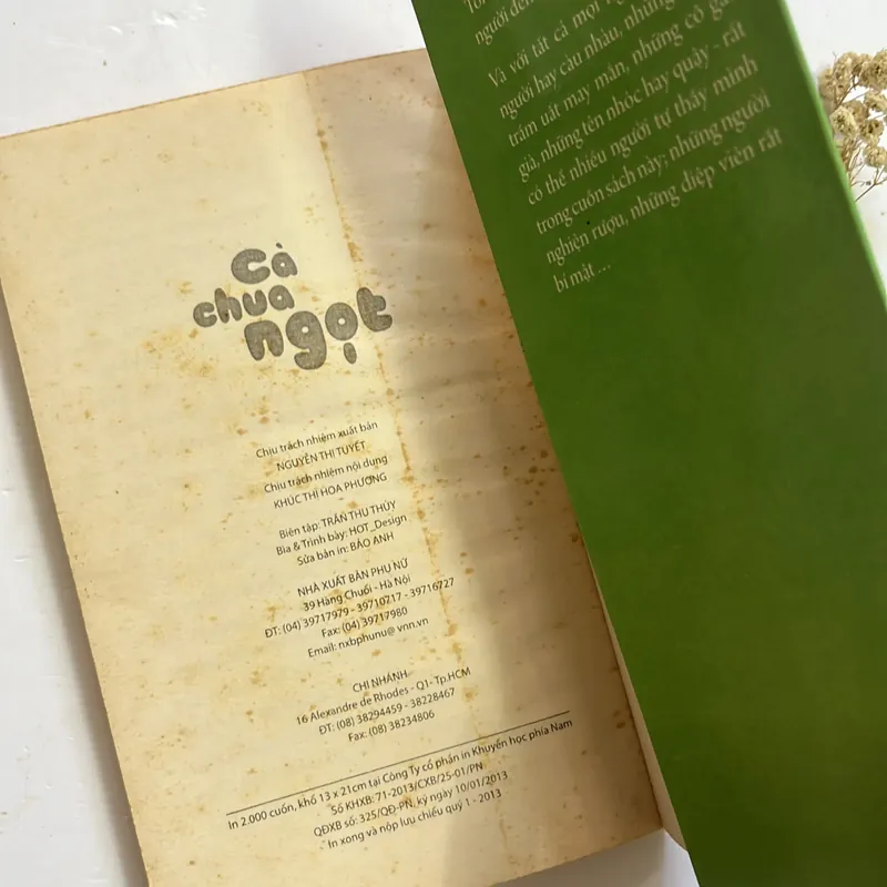 Cà chua ngọt - Barbara Constantine 597408