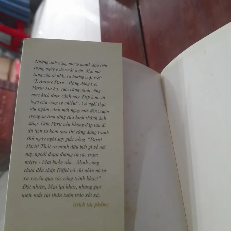 Dương Thụy - NHẮM MẮT THẤY PARIS 705155