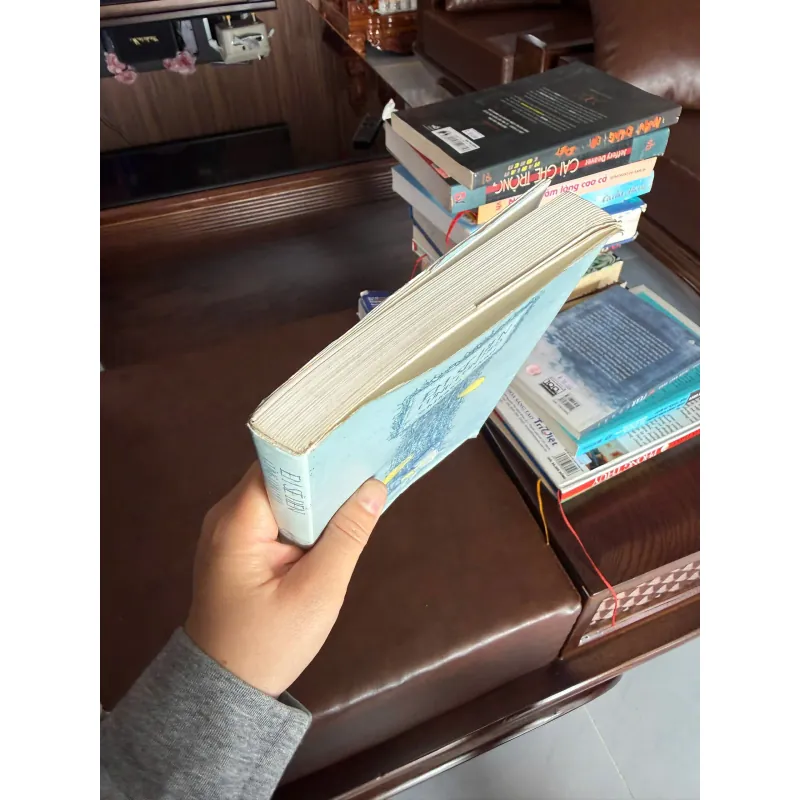 Em Sẽ Đến Cùng Cơn Mưa – Ichikawa Takuji | Tiểu Thuyết Nhật- K2 995045