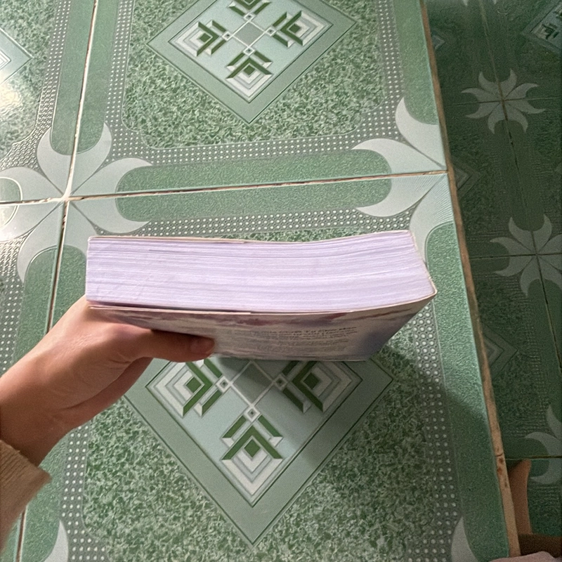Sách hán tự chữ hán 442806