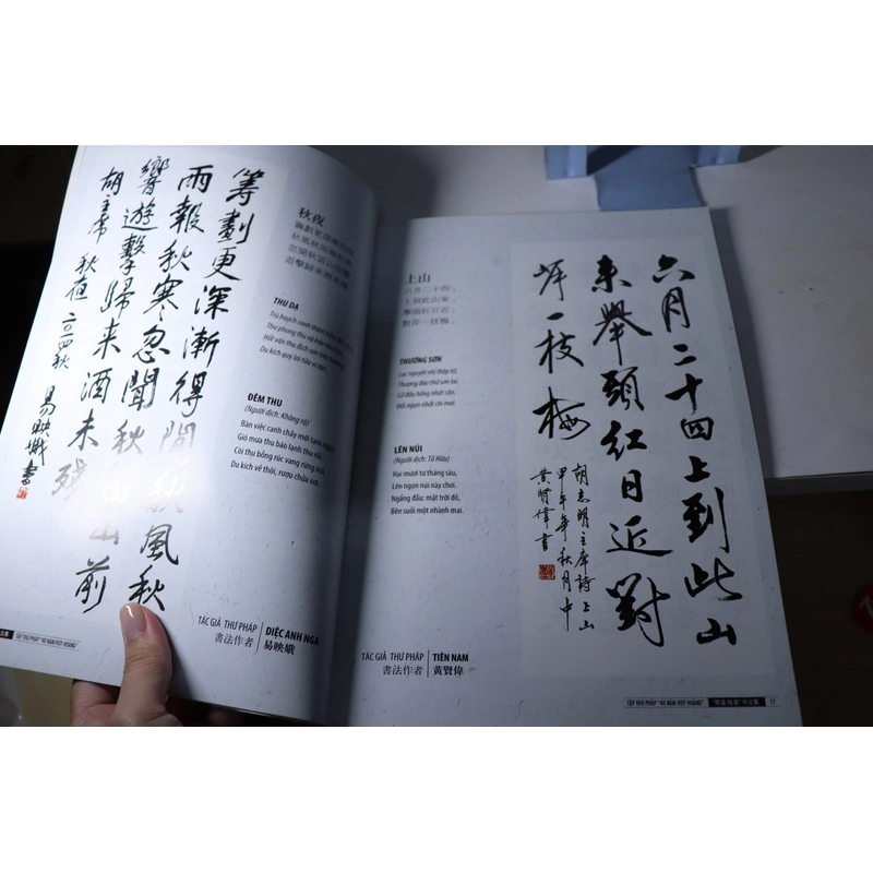 Thư pháp 40 năm huy hoàng Tp.HCM  477849