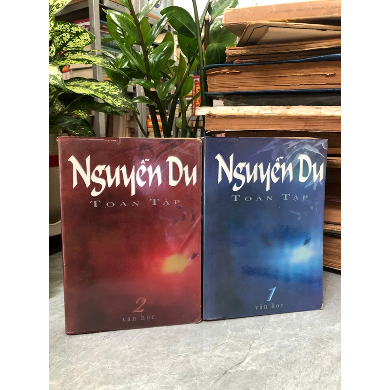 NGUYỄN DU TOÀN TẬP 442894