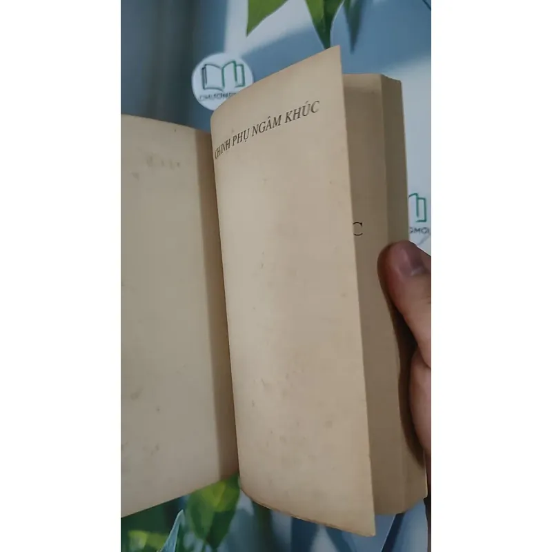 Chinh Phụ Ngâm Khúc - Tác Phẩm Văn Học Dành Cho Học Sinh Tham Khảo - Đặng Trần Côn - Đoàn Thị Điểm 798329