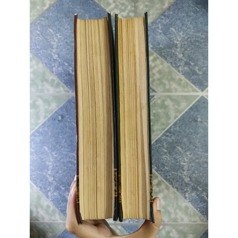 Kho tàng truyện cổ tích Việt Nam ( 2 tập) - Nguyễn Đổng Chi 708923